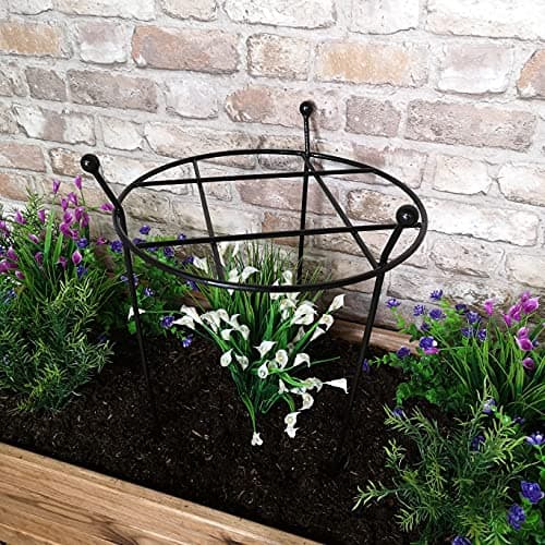 Image of Samuel ALEXANDER Heavy Duty Black Metal Steel Herbaceous Garden Plant Support Grow Through Small 60cm x 35cm