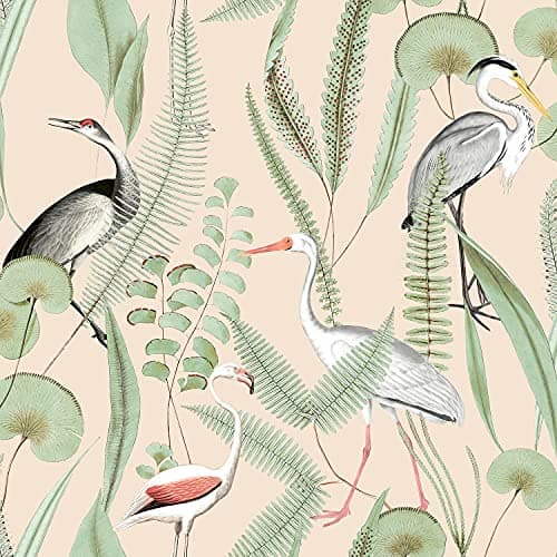 Image of Kivu Wallpaper Birds Tropical Floral Cream Green Natural