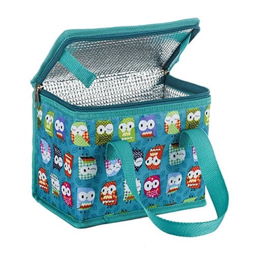 Image of TEAMOOK Folding Lunch Bag Insulated Lunch Box Cool Bag Green Owl 4-6 cans