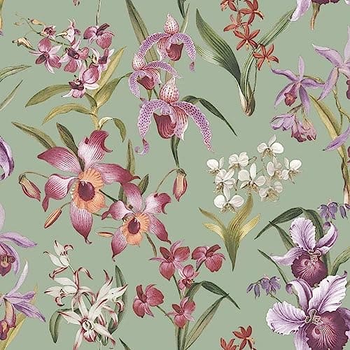 Image of SOPHIE LAURENCE Floral Orchid Wallpaper - Exotic Tropical Leaves - Stylish, Washable, Strippable Paste The Paper Feature Wallpaper (Green, Sample)