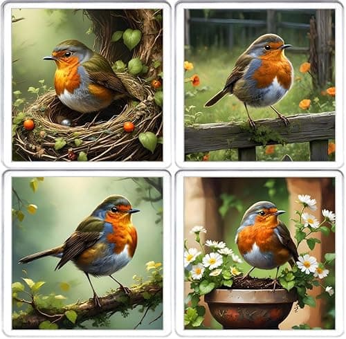 Image of Robin Red Breast Coaster Set. 4 different Robin Bird Pictures on 10cm x 10cm Acrylic Coasters. Boxed Coaster Drip Mat Set.