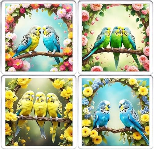 Image of Budgerigar Coaster Set. 4 different Budgie Pictures on 10cm x 10cm Acrylic Coasters. Boxed Coaster Drip Mat Set.
