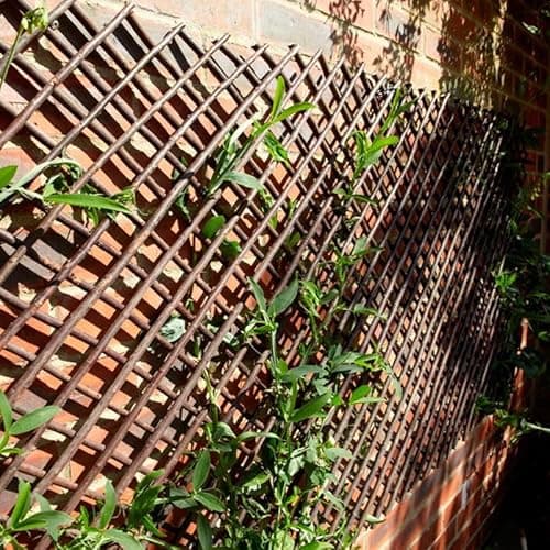 Image of Willow Trellis Expanding 90cm x 180cm for Garden Walls and Fences