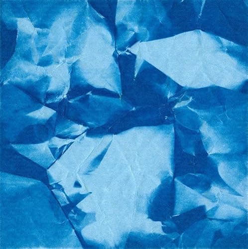 Image of The Shape of Things That Never Came