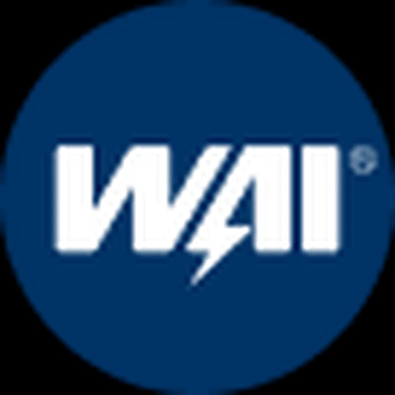 WAI logo