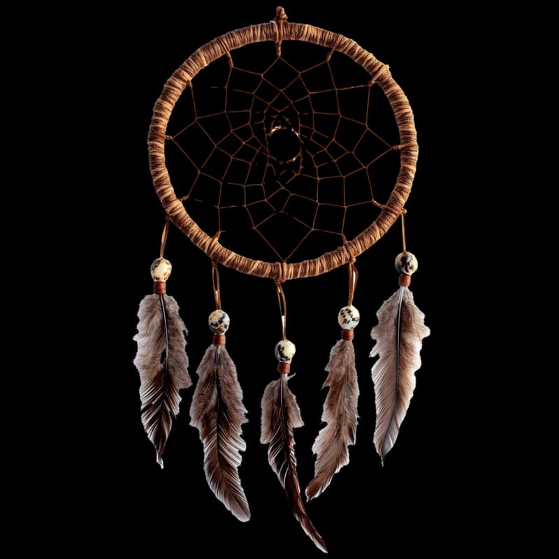 Dream Catchers category