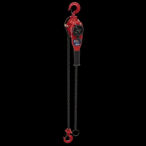 Hoists category