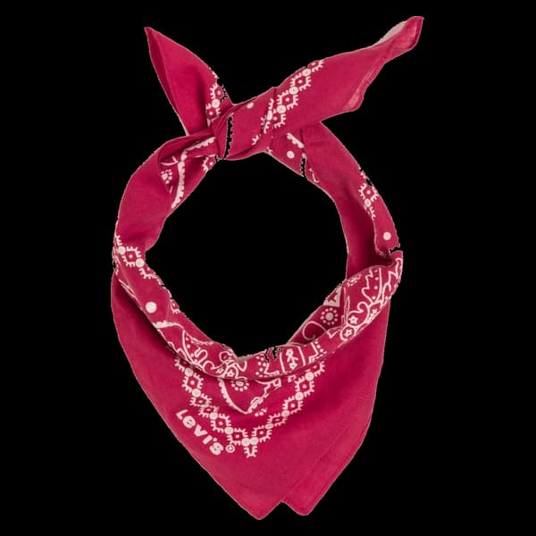 Bandana category