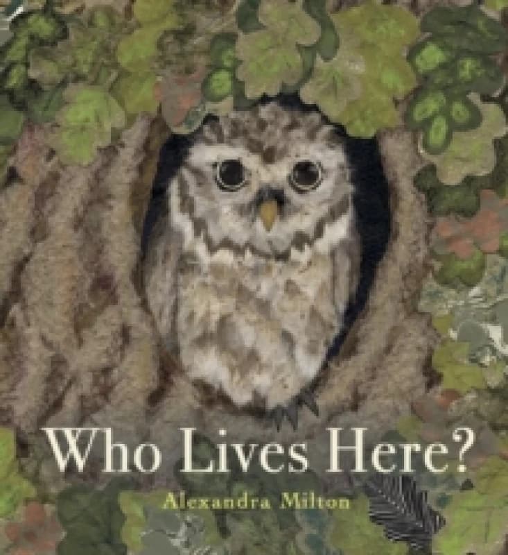 Who Lives Here? Paperback / softback