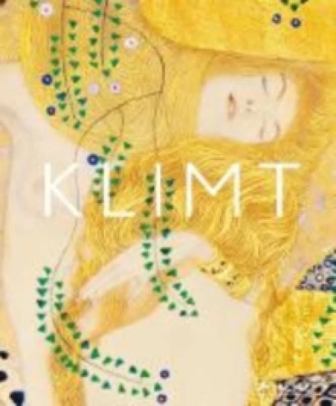 Klimt : The Bigger Picture Hardback
