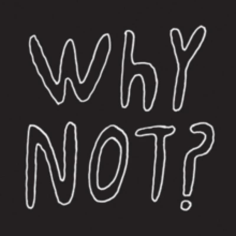 Why Not? Vinyl