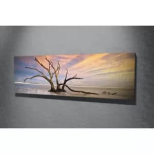 PC019 Multicolor Decorative Canvas Painting
