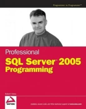 Professional Sql Server 2005 Programming by Robert Vieira Paperback