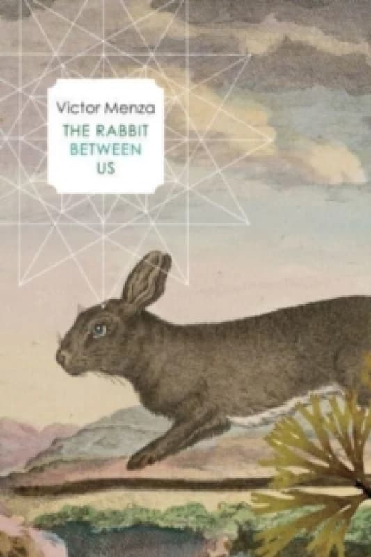 The Rabbit Between Us Paperback / softback
