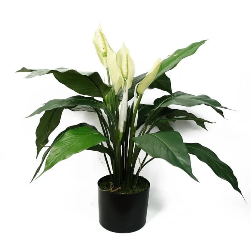 Leaf Artificial Peace Lily White Spathiphyllum White