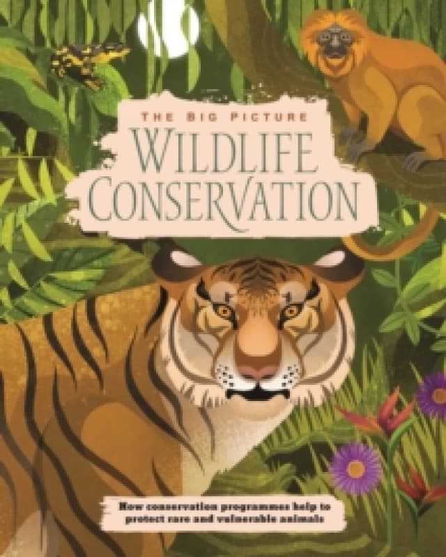 Wildlife Conservation Paperback / softback