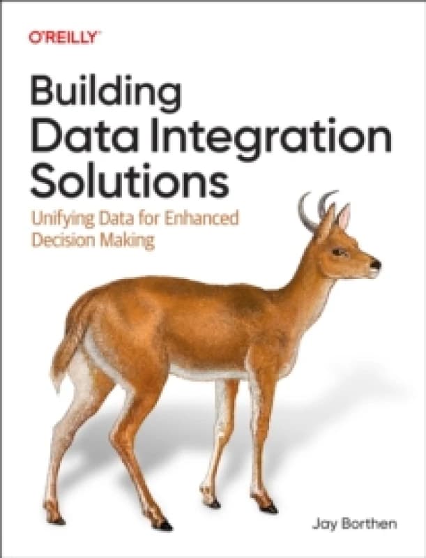 Building Data Integration Solutions. Paperback. By Jay Borthen Books