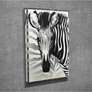 DC163 Multicolor Decorative Canvas Painting
