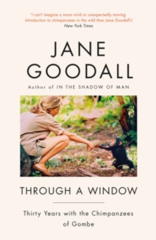 Through A Window Paperback / softback