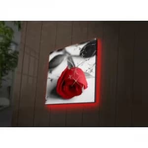 4040DACT-26 Multicolor Decorative LED Lighted Canvas Painting
