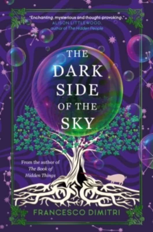 The Dark Side of the Sky Paperback / softback