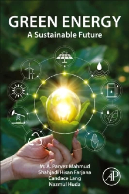 Green Energy : A Sustainable Future Paperback / softback