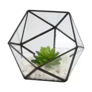 Half Ball Glass Terrarium M&W