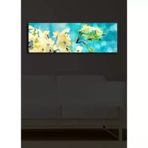 3090?ACT-15 Multicolor Decorative LED Lighted Canvas Painting