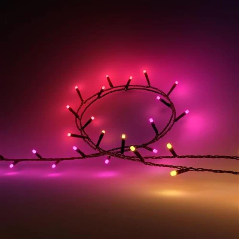 Philips Hue Festavia 500 LED Smart Lighting in Black