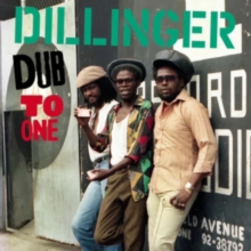 Dub to one Vinyl