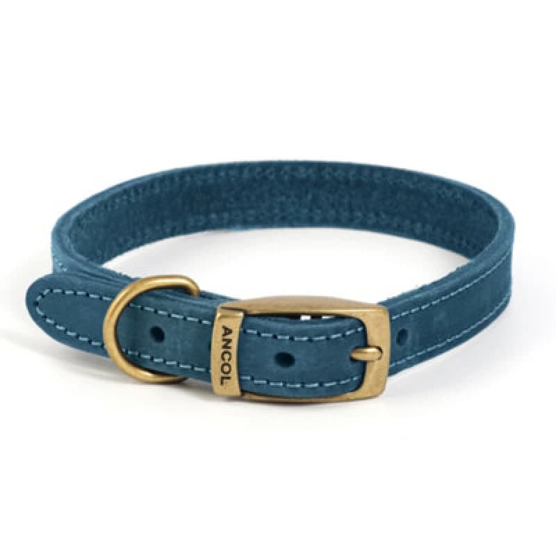 Timberwolf Leather Collar Blue 19mm X35-43cm