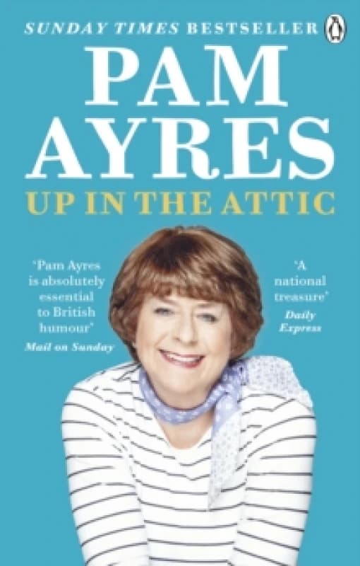 Up in the Attic Paperback / softback
