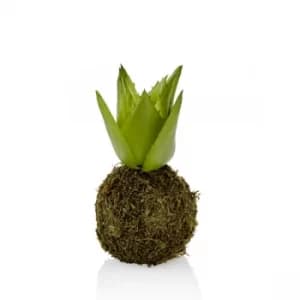 CCK0117 Green Succulent Artificial Plant