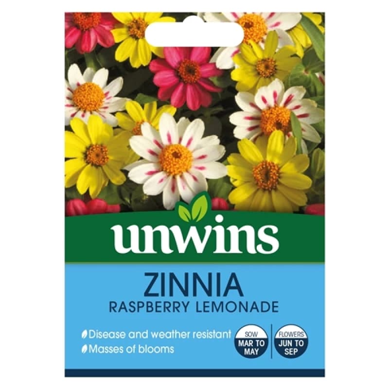 Unwins Zinnia Raspberry Lemonade