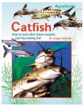 Catfish by Schmidt Hardback