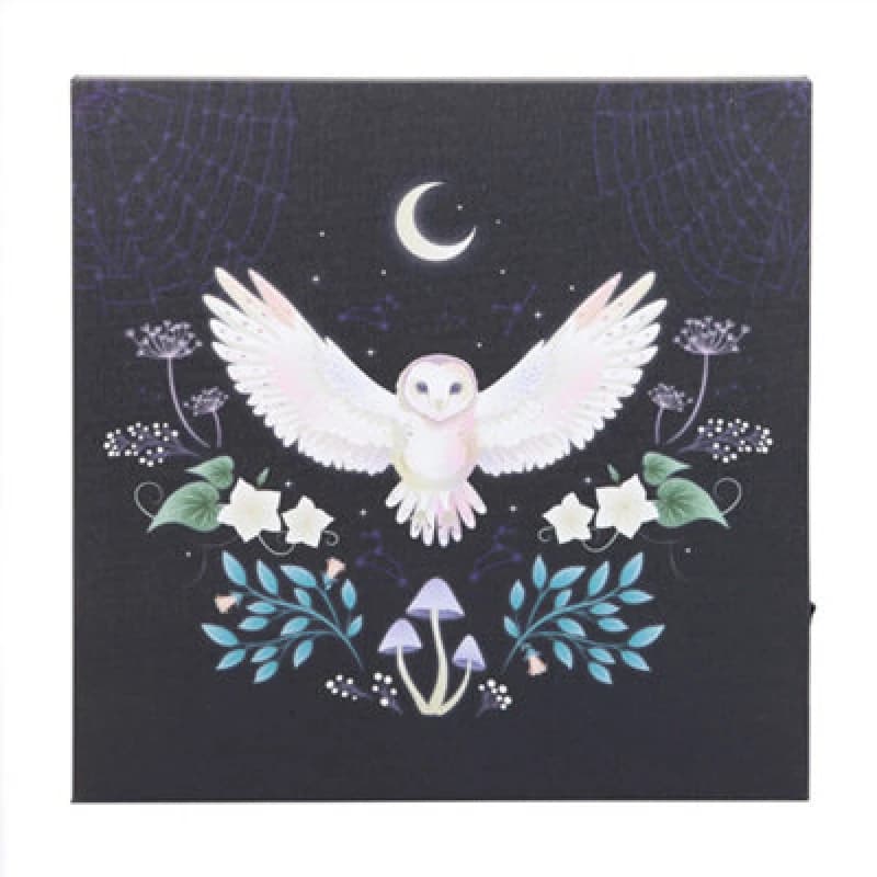 Something Different Something Different Night Owl Light Up Canvas Multi One Size Unisex 5063574821162