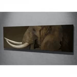 PC058 Multicolor Decorative Canvas Painting
