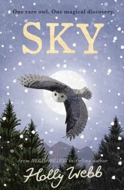Sky Hardback