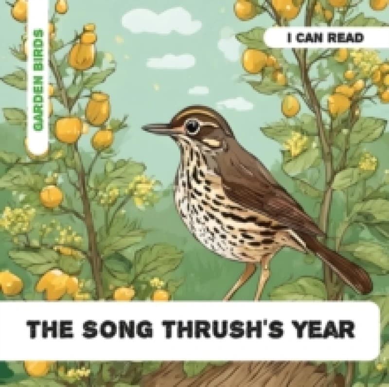 The Song Thrush's Year : Decodable Phonics Reader (Ages 5-7) Paperback / softback