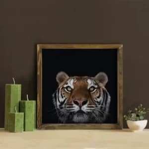 MZM687 Multicolor Decorative Framed MDF Painting