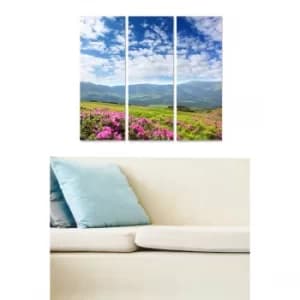 MDF96367202 Multicolor Decorative MDF Painting (3 Pieces)