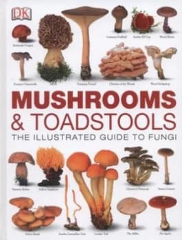 Mushroom and Toadstools by Thomas Laesse Hardback