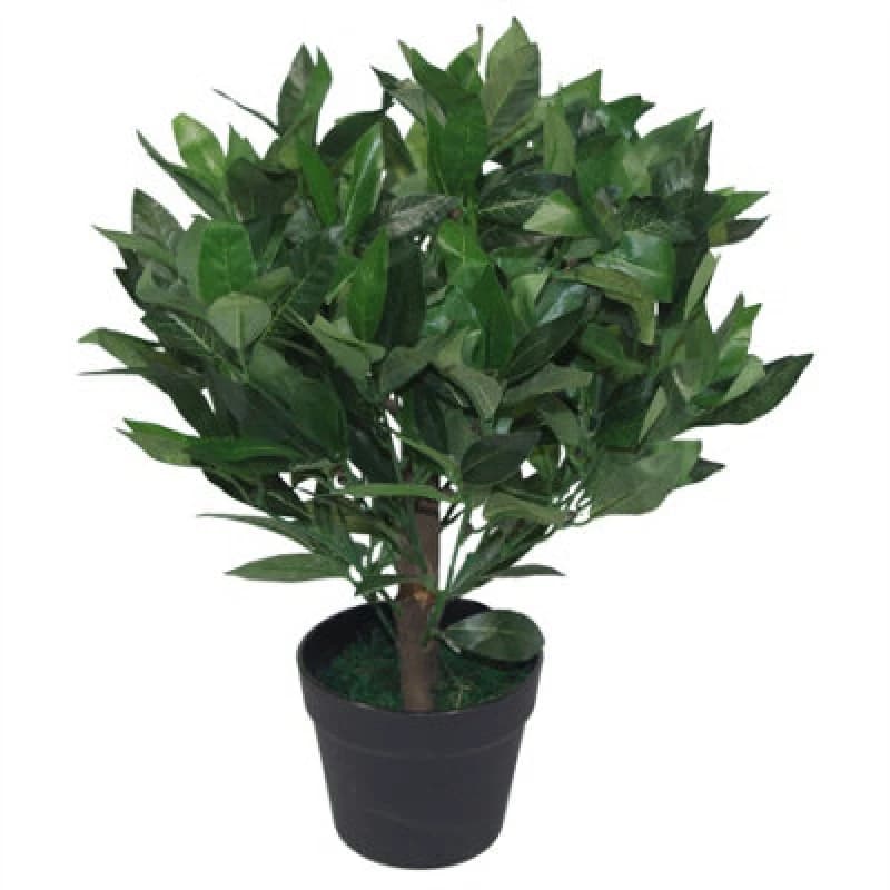 Leaf 50cm Dwarf Artificial Bay Tree Laurel Topiary Bush Green unisex