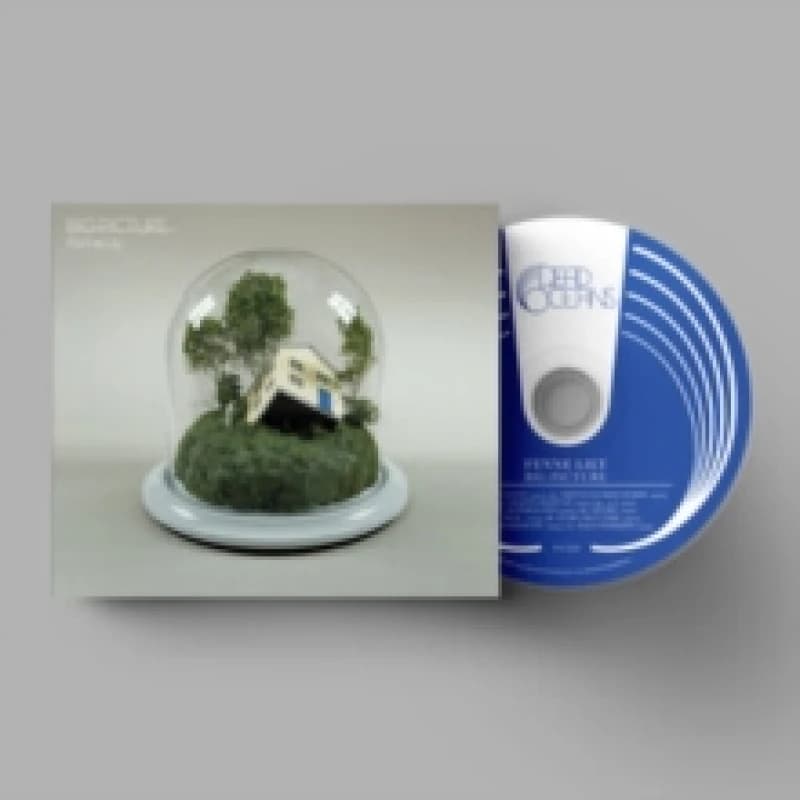 Big Picture CD / Album