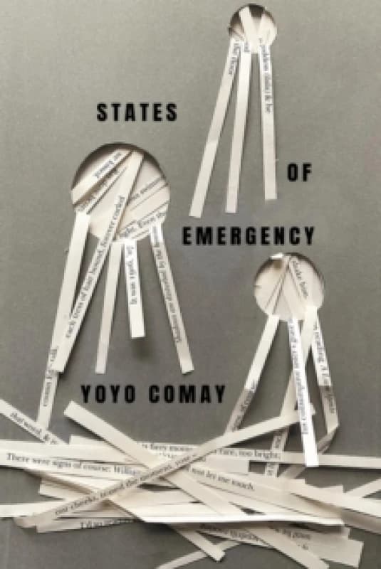 States of Emergency Paperback / softback