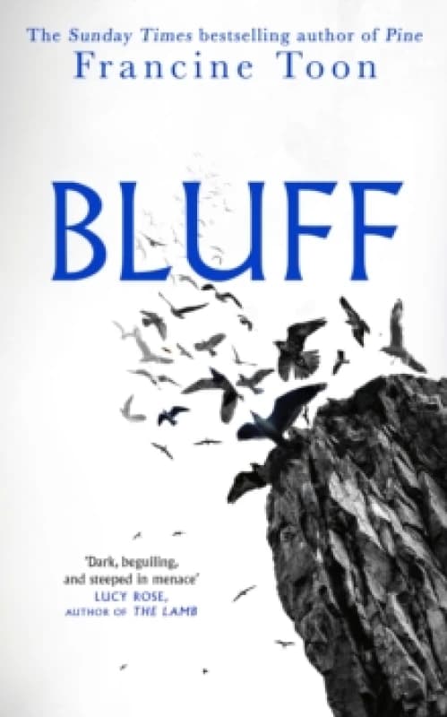 Bluff. Hardback. By Francine Toon Books