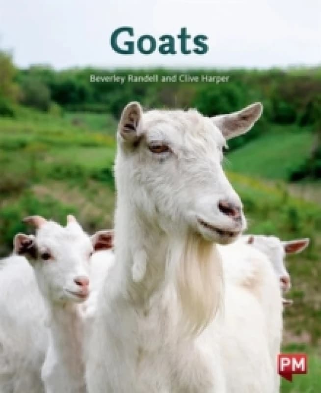 GOATS Paperback