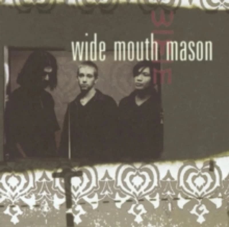 Wide Mouth Mason Vinyl