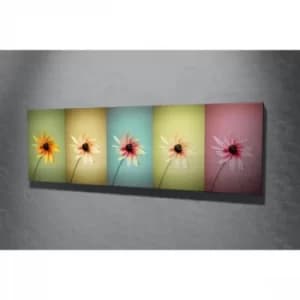 PC005 Multicolor Decorative Canvas Painting