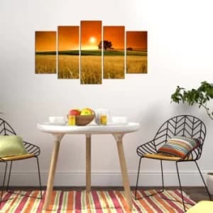 5PMX-103 Multicolor Decorative MDF Painting (5 Pieces)